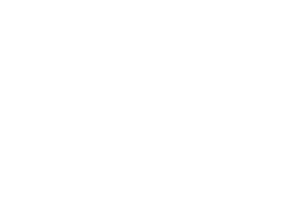 Vittoria Assicurazioni